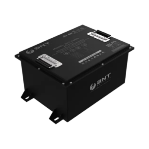 bnt 65ah lithium battery